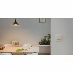 Niko Intense Hue Kontakt Dim Switch Til Philips Hue - Hvid 31 Niko Intense Hue Kontakt Dim Switch Til Philips Hue - Hvid -Indendørs Belysning Salgsbutik niko intense hue kontakt dim switch til philips hue hvid 11