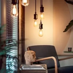 Philips Hue 1 Stk. ST72 E27 Filament Edison - Bluetooth - 8719514279179 36 Philips Hue 1 Stk. ST72 E27 Filament Edison - Bluetooth - 8719514279179 -Indendørs Belysning Salgsbutik philips hue 1 stk st72 e27 filament edison bluetooth 8719514279179 15