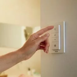 Philips Hue Buckram Dobbelt Spot - Bluetooth - 8718696175620