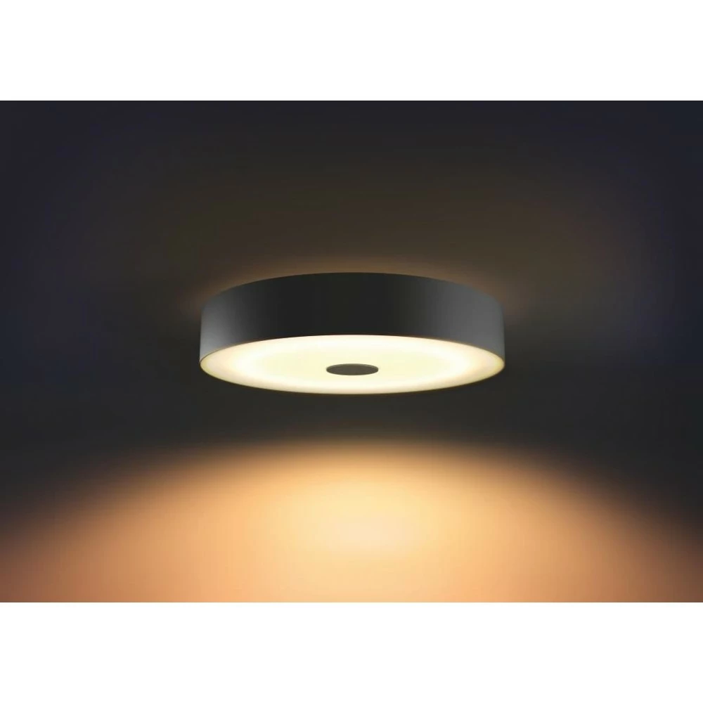 Philips Hue Connected Fair Plafond Sort 13 Philips Hue Connected Fair Plafond Sort - Billede 11
