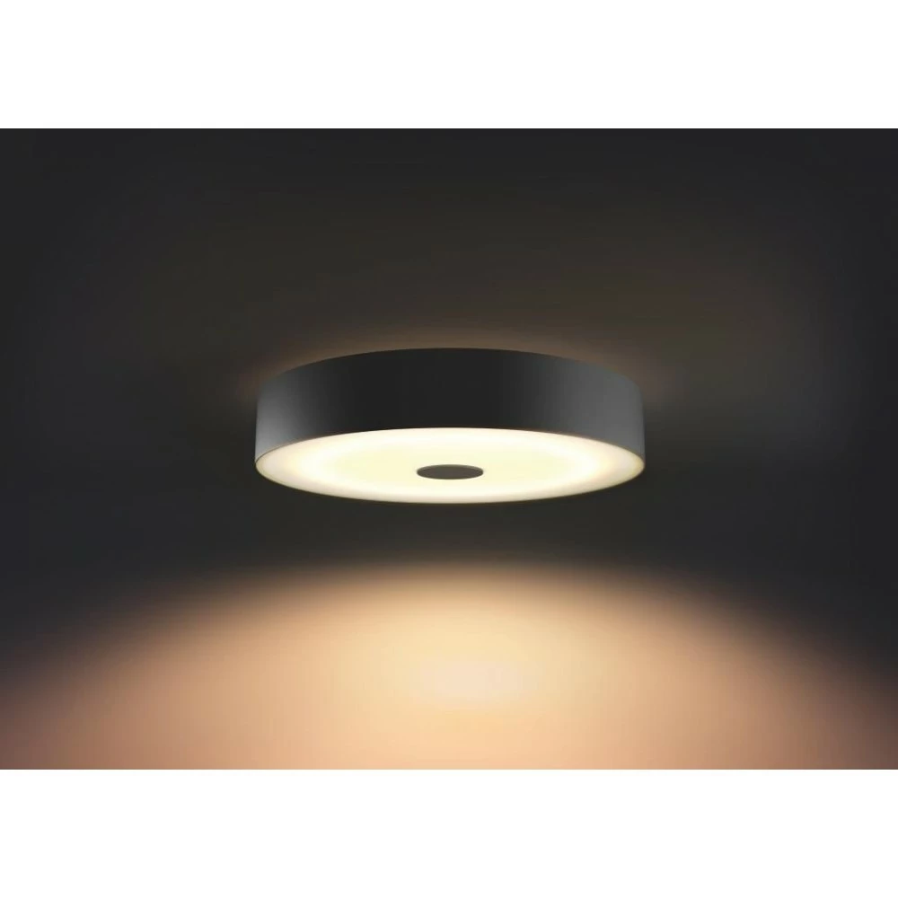 Philips Hue Connected Fair Plafond Sort 14 Philips Hue Connected Fair Plafond Sort - Billede 12