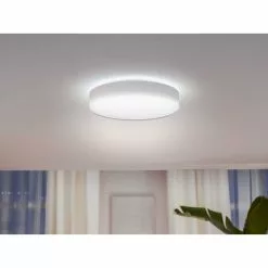 Philips Hue Enrave L Loftslampe Hvid - 915005996801 -Indendørs Belysning Salgsbutik philips hue enrave l loftslampe hvid 915005996801 17