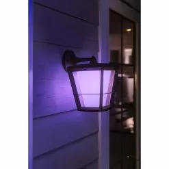 Philips Hue Outdoor Econic Ned Væglampe