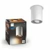 Philips Hue Pillar Hue Ext. Spot Single Spot Hvid 1 - 929003046801 1 Philips Hue Pillar Hue Ext. Spot Single Spot Hvid 1 - 929003046801 -Indendørs Belysning Salgsbutik philips hue pillar hue ext spot single spot hvid 1 929003046801