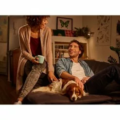 Philips LED 35W GU10 Glas Varm Hvid Warm Glow Dæmpbar 1 Stk - 8718696562826 8 Philips LED 35W GU10 Glas Varm Hvid Warm Glow Dæmpbar 1 Stk - 8718696562826 -Indendørs Belysning Salgsbutik philips led 35w gu10 glas varm hvid warm glow daempbar 1 stk 8718696562826 2