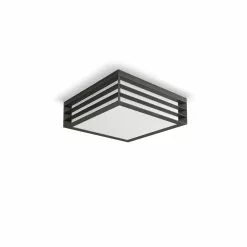 Philips Signify Philips MyGarden Moonshine Pendant Ceiling Antrasit 2x14W 230V - 8718696158180